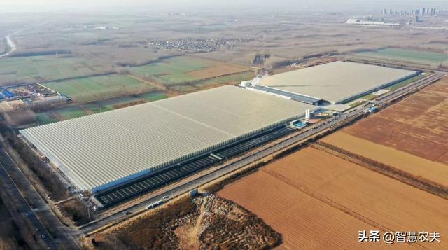 人工智能温室大棚，这个智能温室不一般