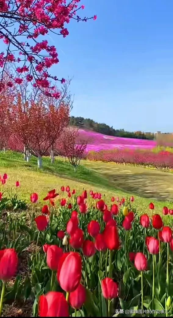 莺歌燕舞是什么季节，柳绿花红莺歌燕舞是什么季节（百花争艳的季节）
