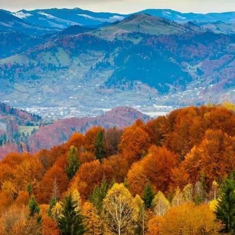 图片，微信头像，图片（清新多彩自然美景）