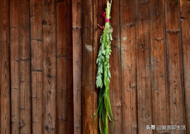 什么颜色代表吉祥顺利，什么颜色表示顺利（老传统挂艾草、带五色线有讲究）