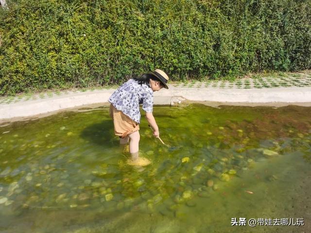 离我最近的酒店，天府国际机场贵宾室（泡温泉、爬山、室内外俩儿童乐园）