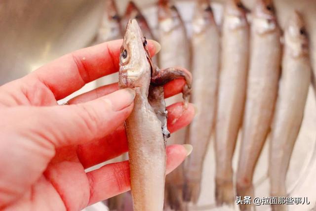 沙丁鱼怎么做好吃，沙丁鱼做法（少吃面食和猪肉）
