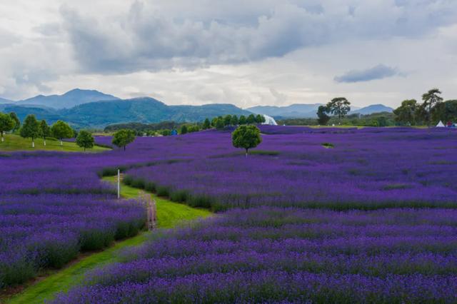 腾冲景点排行榜，腾冲十大景点排行（腾冲国家A级旅游景区最新盘点）