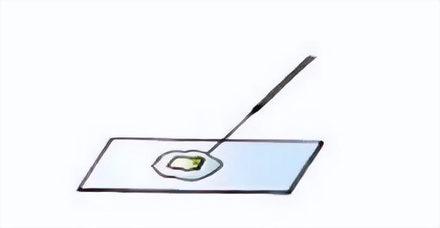 光学显微镜是什么东西，光学显微镜是什么东西图片（通过有趣的实验一起来学习吧）