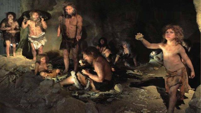 关于尼安德特人介绍，尼安德特人是怎么来的（两个智人都打不过一个尼人）