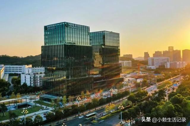 自离了是不是没工资了，自离不给工资合法吗（在广州黄埔年收入3000万）