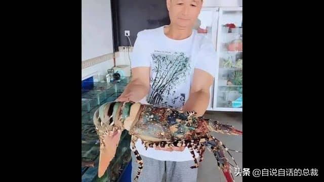 小龙虾属于海鲜类吗，小龙虾是海鲜吗（龙虾：从小龙虾到大花龙）