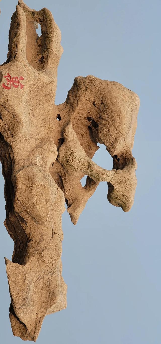 上海到青岛多远，上海到青岛的路程（上海青岛往返1400公里全程无高速沿途城市蜻蜓点水游）