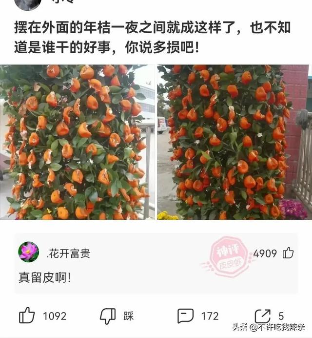 高情商回复别人的羡慕，怎么幽默回复别人羡慕（“男生最顶不住女生叫他什么）