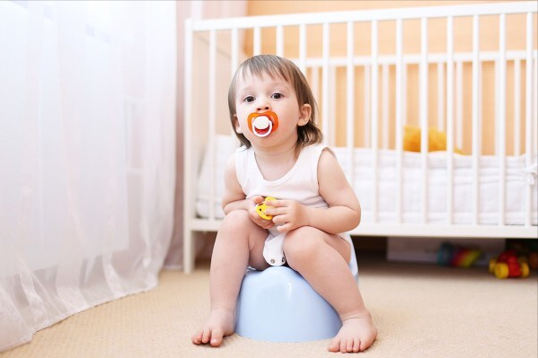 尿片怎么用，答案：没有，“等”就行了（宠物尿片怎么用）