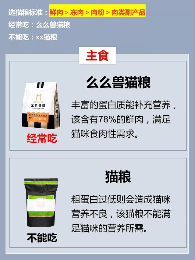 猫吃的食物还能吃吗，紧急通知：猫咪的食物禁忌清单