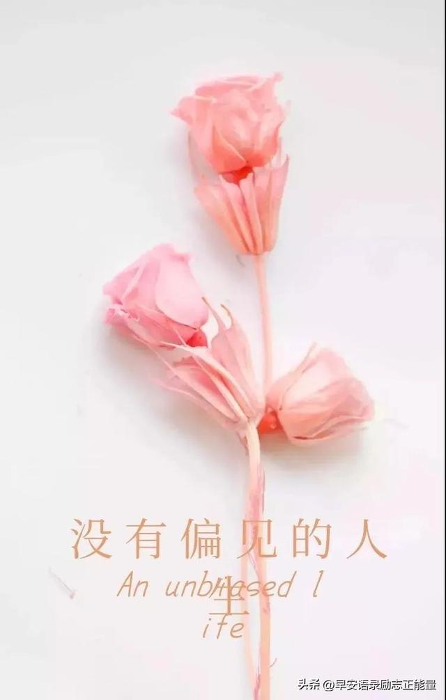 适合发朋友圈的句子，适合冬天发朋友圈的句子（2023适合发朋友圈的说说心情短语）