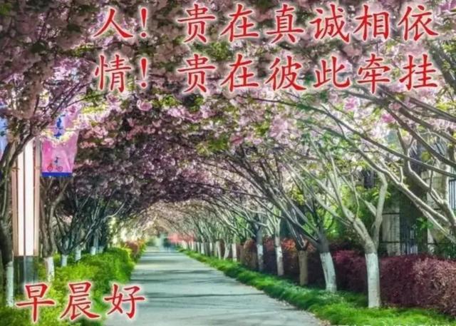 03年属什么生肖，03年属什么（2023年04月03日）
