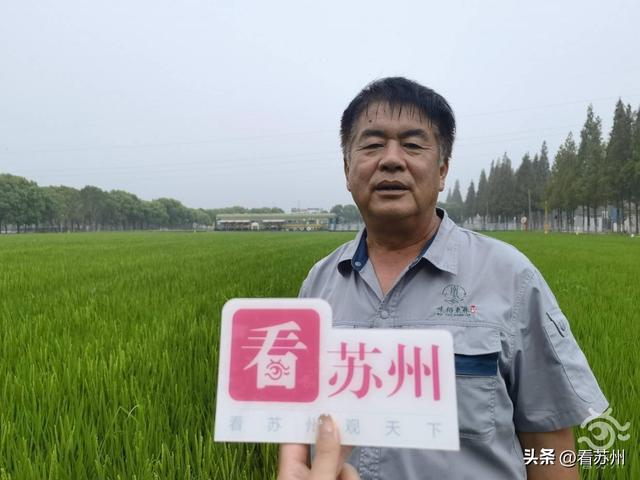 现代农业产业示范园简介，太仓市现代农业产业高质量发展示范园成功获批