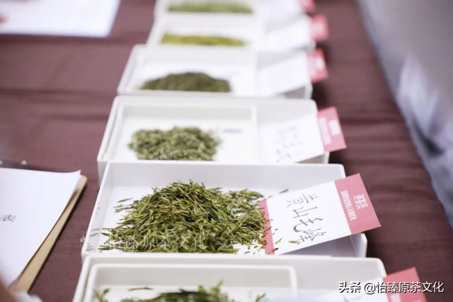 绿茶有哪些品种，红茶有哪些品种排名（一次性把中国茶树品种及特点讲清楚）