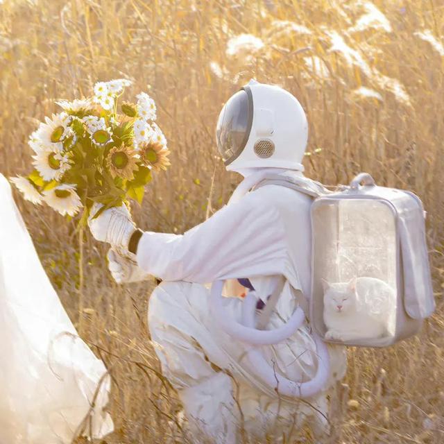 百度搜图匹配情侣头像，百度搜图匹配情头（高清情侣头像，祝大家七夕快乐）