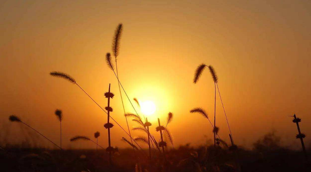 记录美好时光的句子，记录美好时光的短句（怀念曾经的美好时光）