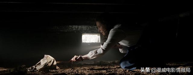 世界电影排行榜，世界电影排行榜前10名（2021年全球最卖座的20部电影榜单上线）