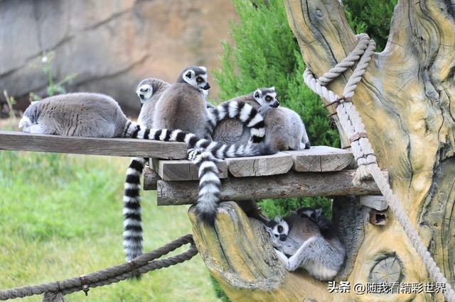 去大连旅游要多少钱，大连三日游最佳安排（来辽宁必打卡的八处景点——大连篇）