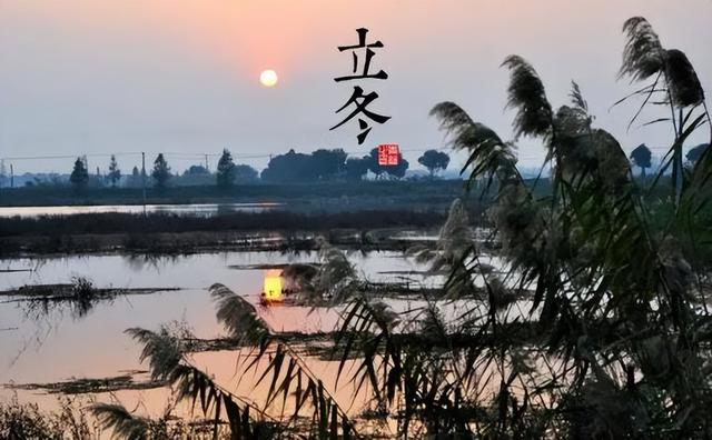 腊菜的做法大全，腊菜的家常做法（建议大家常做这3道腌菜）