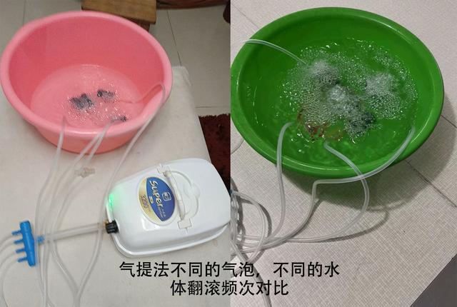 鱼缸水泵的正确使用方法，鱼缸潜水泵怎么用（自来水养鱼快速除氯气）