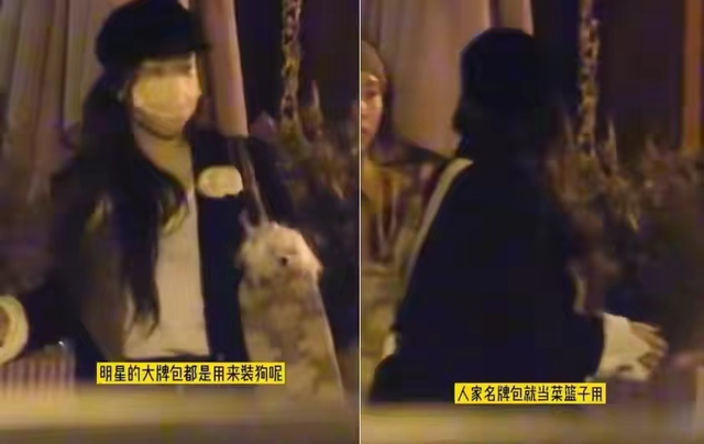 霍思燕和黄奕关系好不好，手撕黄奕傍上华谊老总