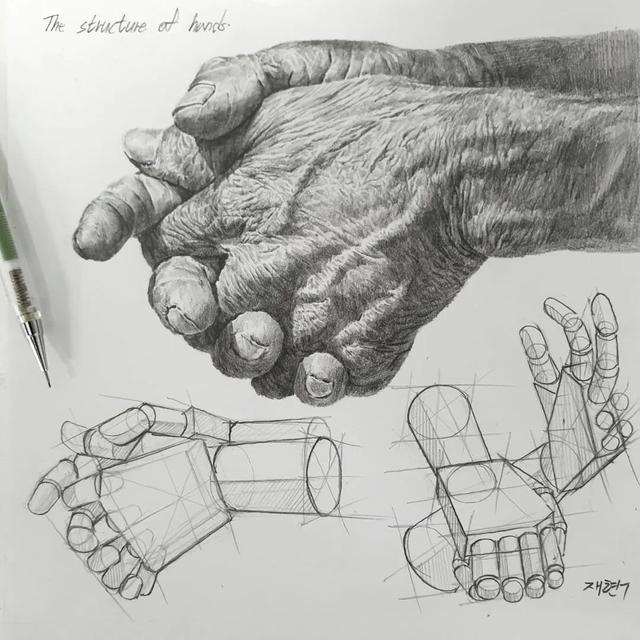 素描技巧和画法，画好素描的步骤（素描丨画好素描不是一蹴而就的）