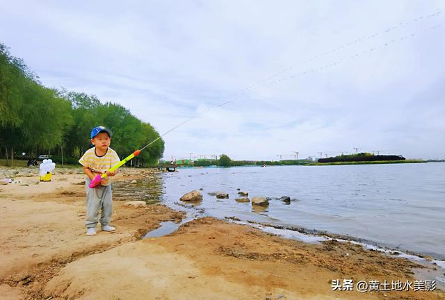 郑州龙湖湿地公园现状分析，河南郑州龙湖湿地公园秋色初露