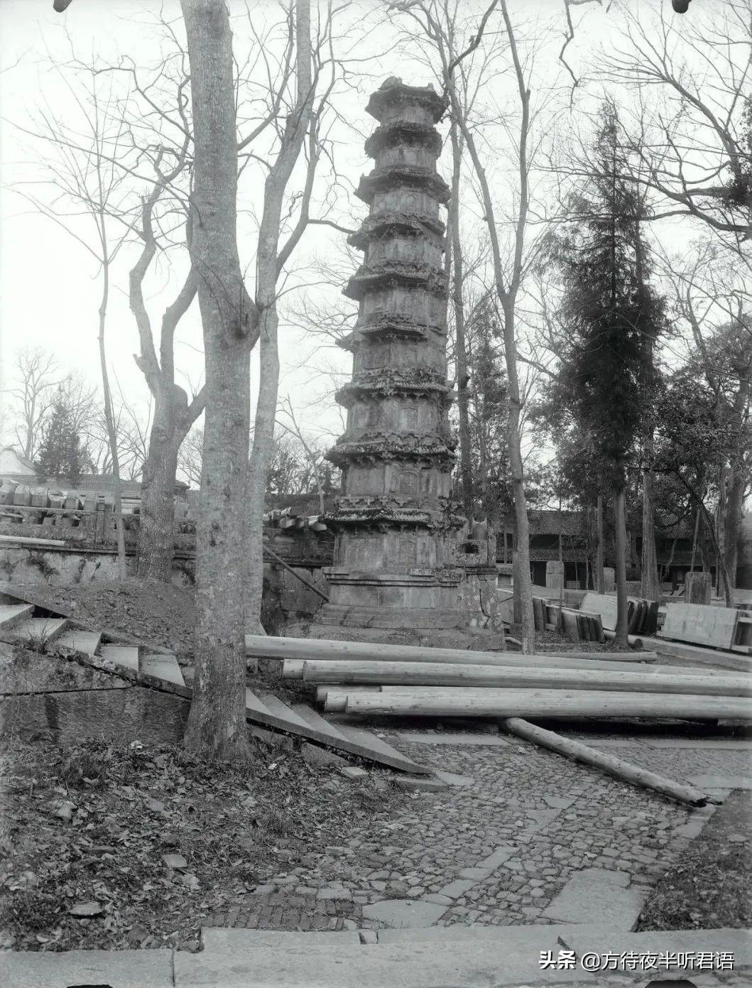 lingtian（1910）