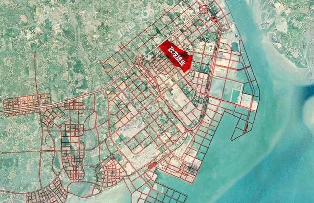 生长最快的桉树苗是哪个品种，速生桉一亩可种多少棵（又将迎来种植速生桉的新一轮热潮）