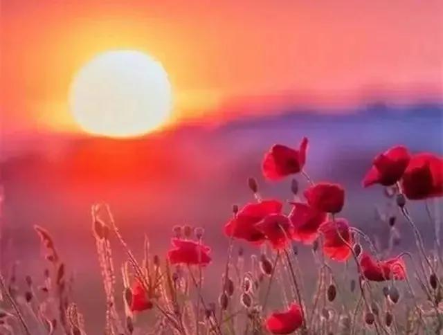 形容春暖花开的古诗词，关于春暖花开的诗句有哪些（从古诗词里走来）