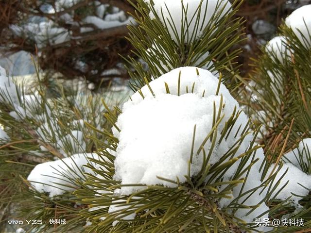 vivoy35是全网通的吗，Y35评测：解锁千元级新体验