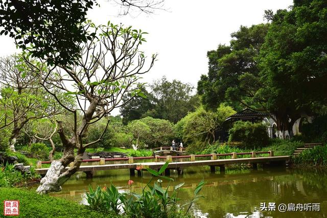 番禺大夫山森林公园，探寻天然氧吧广州大夫山森林公园（大夫山森林公园真的太大了）