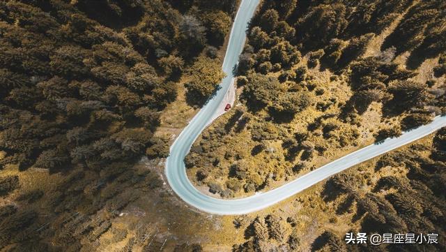 狮子座是火象星座吗，火象星座分别为哪三种火（这两个火象星座都以勇敢闻名）