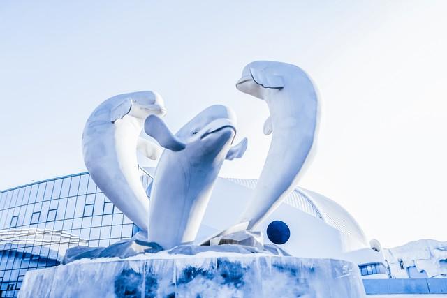 哈尔滨海洋极地馆，哈尔滨极地海洋馆内部（哈尔滨极地公园·极地馆）