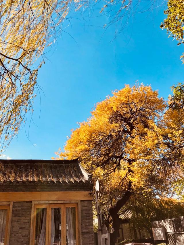 北京风景优美的地方，北京十大最值得去的景点（古寺寻幽、山林品茶）