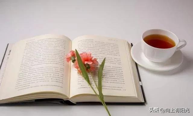 国际儿童图书日，2020年国际儿童图书日是哪天（深度陪伴，从亲子共读开始）