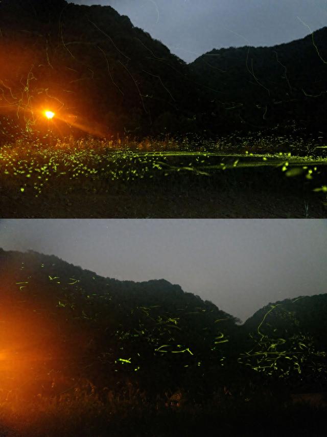 杭州暑假遛娃避暑绝佳仙境‼️漫山萤火虫