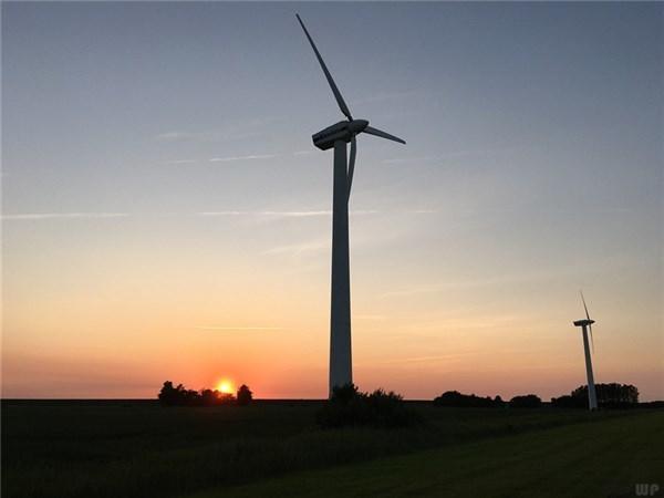 励志篇正能量美文短句，励志篇正能量美文短句佛曰（励志心语阳光的句子）