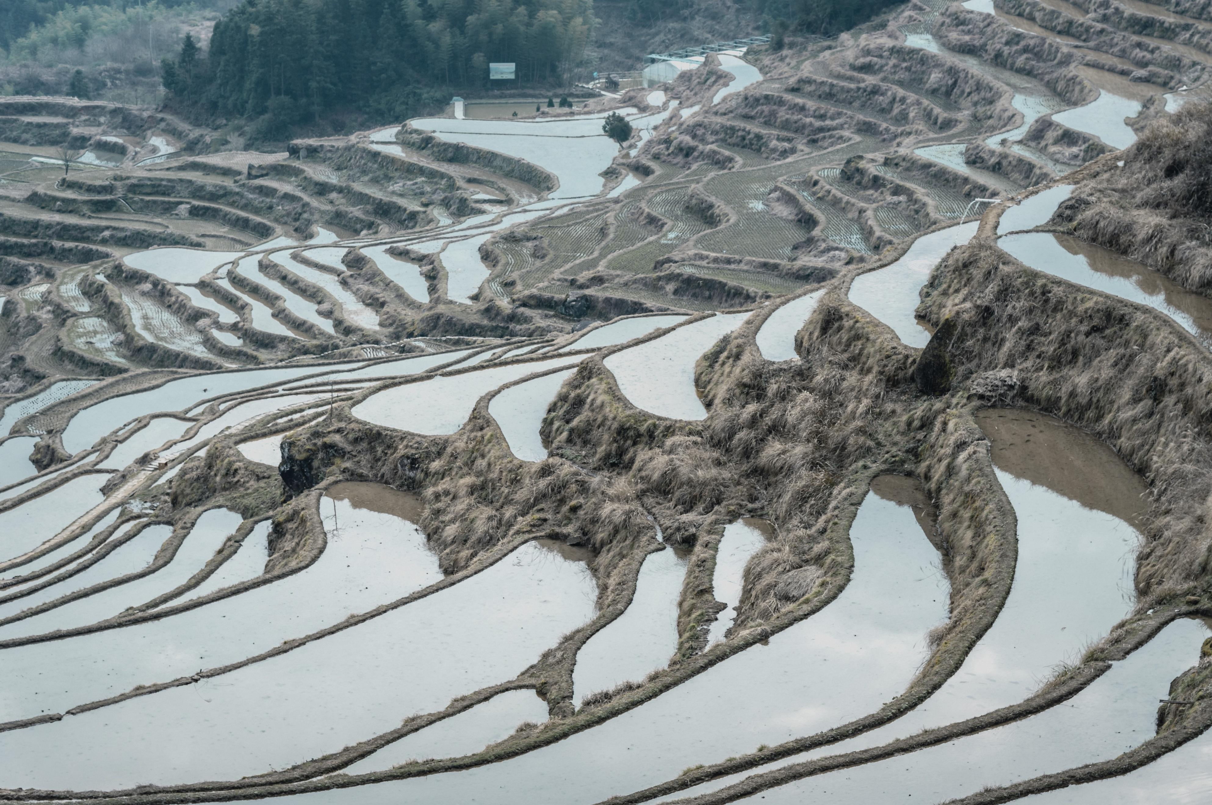 云和梯田(浙江屋脊丽水深度游) - 悦闻天下