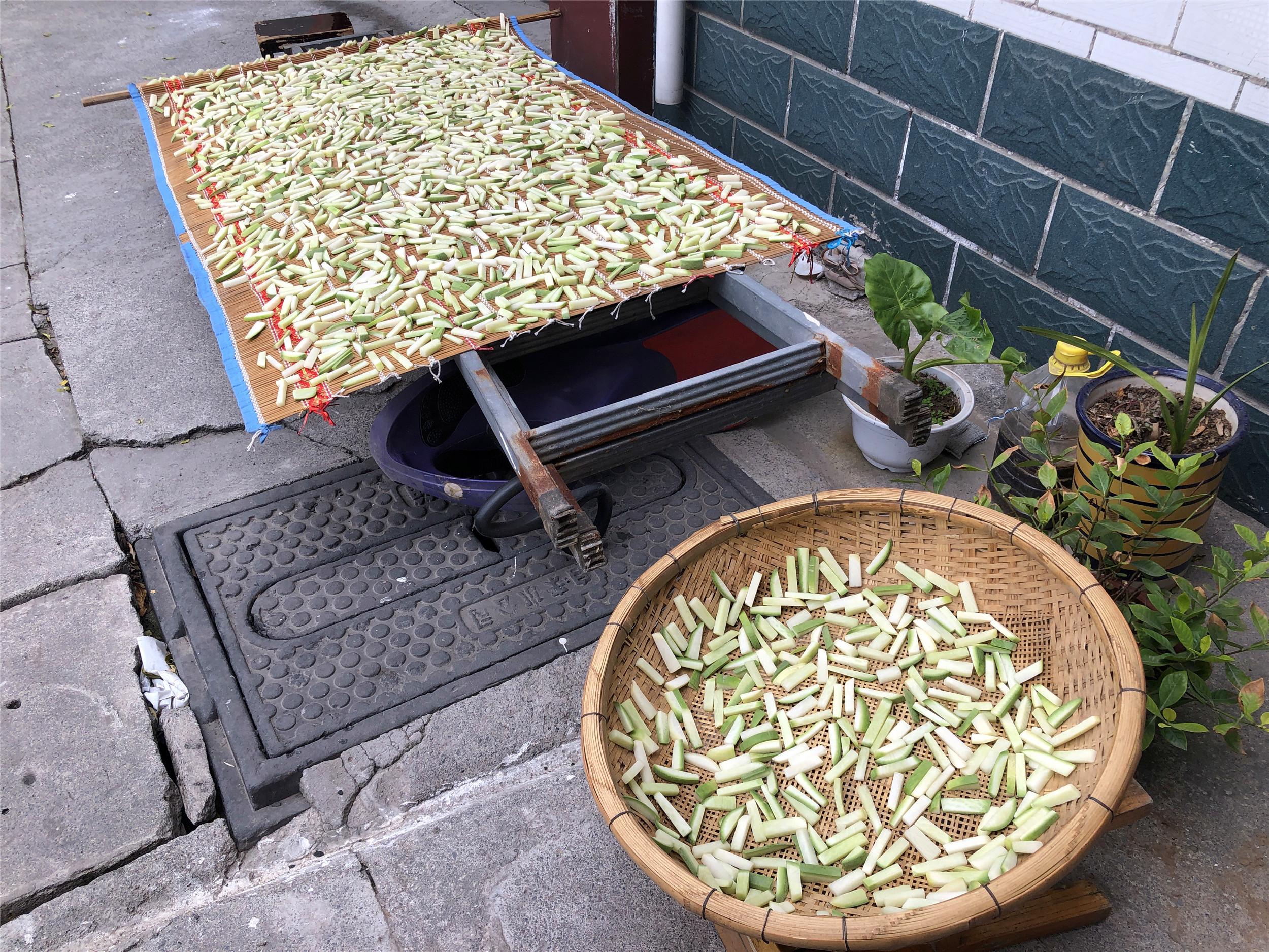 怎么腌萝卜条的做法大全，腌制萝卜条的做法大全家常视频窍门（60岁大妈分享配方）