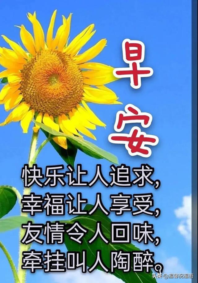 早安问候语大全，贴心的早安问候语大全（创意唯美亲人朋友早上好祝福语图片大全免打字）