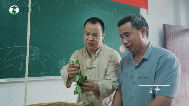 乌龙茶和铁观音的区别，乌龙茶与铁观音是一个茶吗有什么区别（乌龙茶铁观音为什么要摇青）