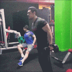 壁虎能长多大，为什么家里有壁虎一定要打死（“以为买了个壁虎）