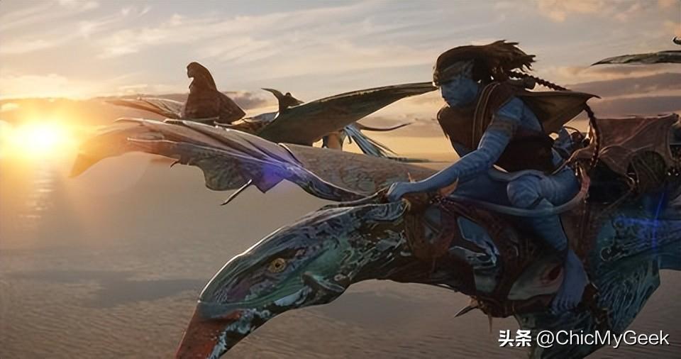 加勒比海盗5彩蛋，加勒比海盗5的彩蛋是什么（水之道》彩蛋比剧情更深奥）