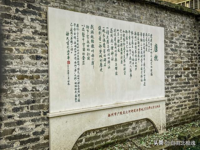 南柯一梦的故事，南柯一梦中的南柯指的是什么（南柯一梦）