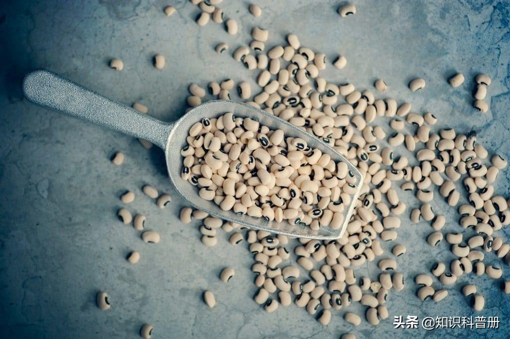 血压低吃什么食物，血压低吃什么食物补的最快（可以吃15种食物<建议收藏>）