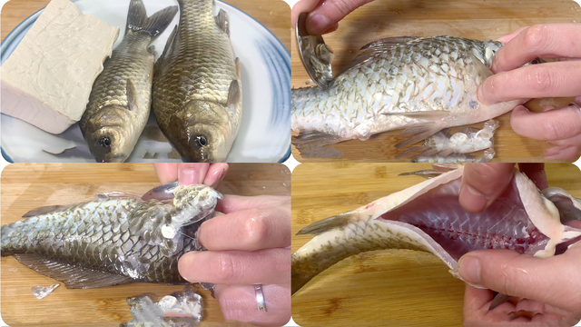 吃什么补气血效果最好，吃什么最补气血（常吃10种补气血食物）