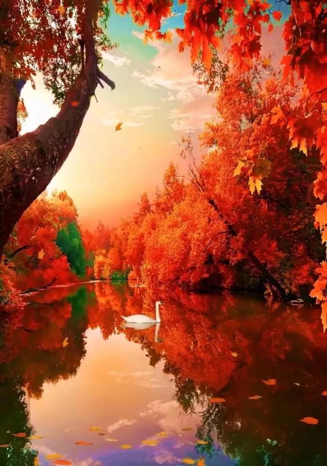 帮助别人正能量的句子，帮助别人正能量的句子大全（早安心语，正能量坚强语录句子）