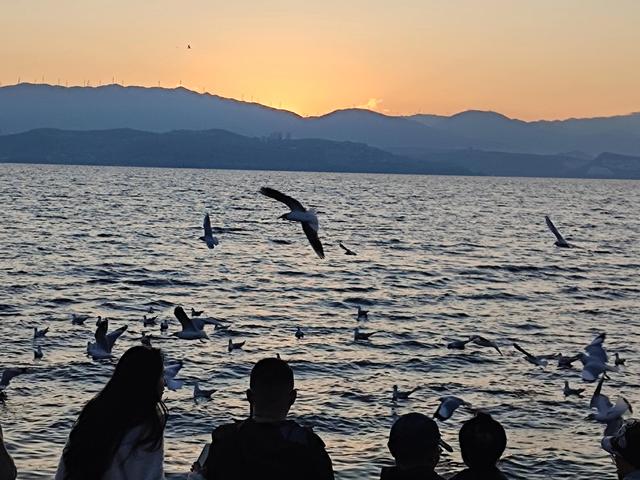 大理旅游攻略必去景点，自驾游大理旅游攻略必去景点（大理本地资深从业者推荐的大理必游的八景点）